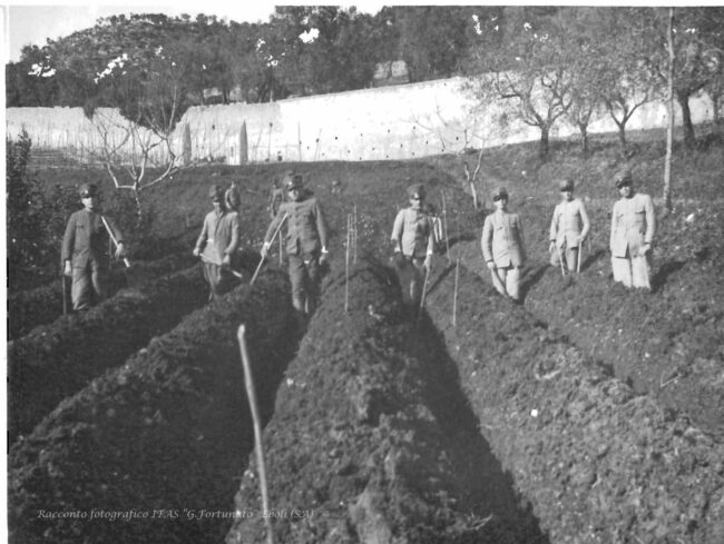 Lavoro di scasso per l’impianto del vigneto