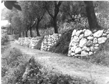 Lunette per il contenimento del terreno