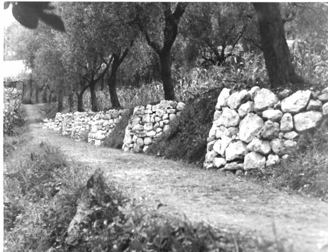 Lunette per il contenimento del terreno
