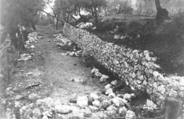 Il terreno in pendenza del podere S. Antonio