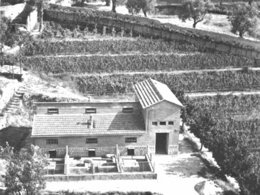 La porcilaia razionale
