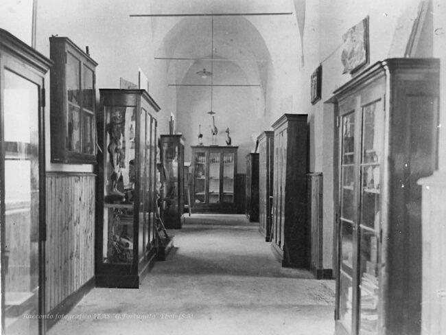 Settore museo