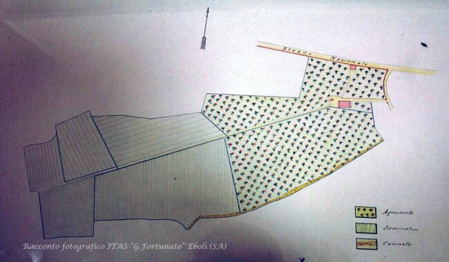 Podere di S.Giovanni