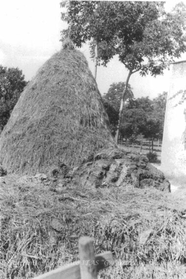 stalla