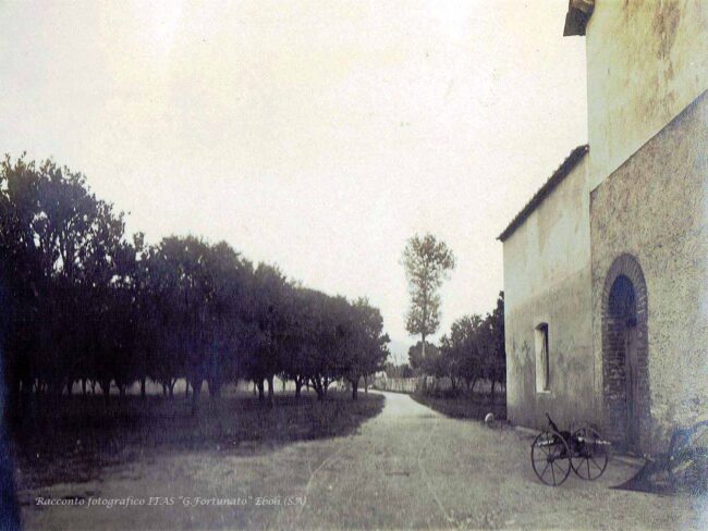 Aspetto del podere S. Giovanni
