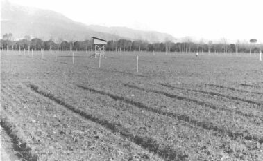 La stazione meteorologica