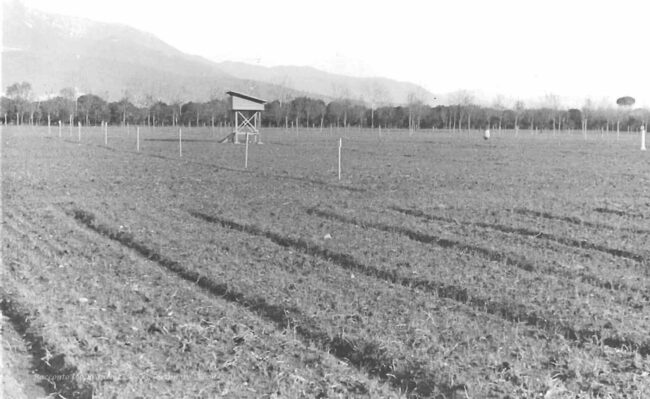 La stazione meteorologica