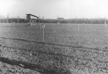 Un campo sperimentale