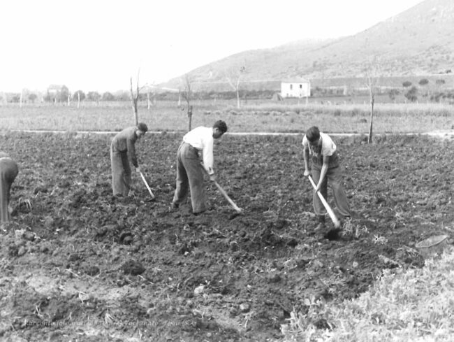 Studenti al lavoro