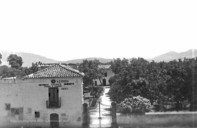 Ingresso al podere
