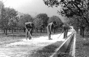 Gli studenti al lavoro