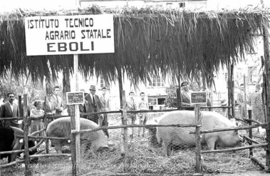 Esposizione