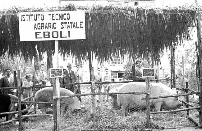 Esposizione