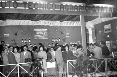 Esposizione